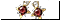 Ñåðüãè Ëàñêè