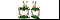Ñåðüãè Ãðàâèòàöèè