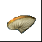 Êóñî÷åê ãðèáà