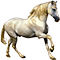 Ëîøàäü